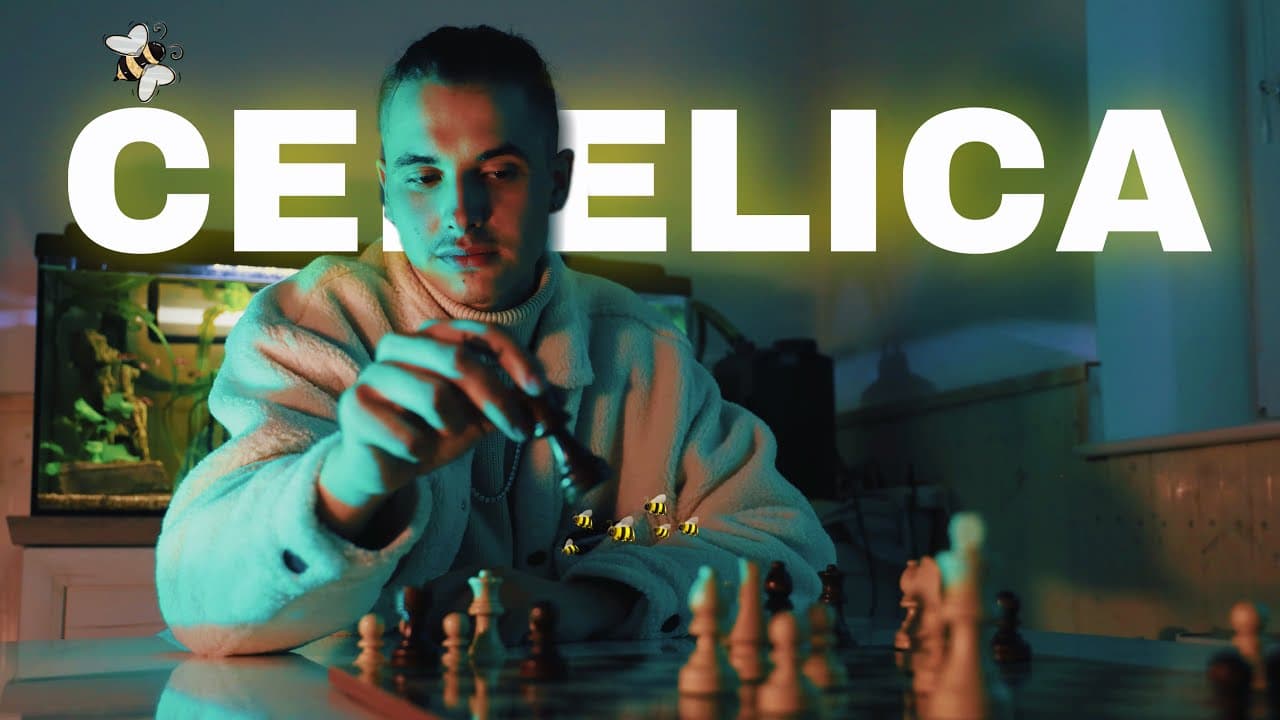 Videospot: Dani-La — Čebelica
